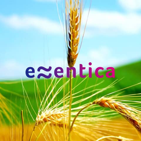 B2B маркетинг за Essentica