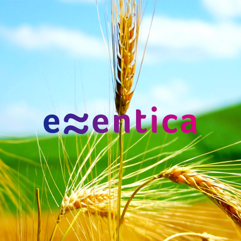 Essentica logo